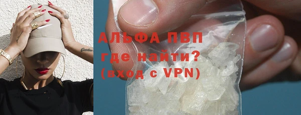гашик Россошь