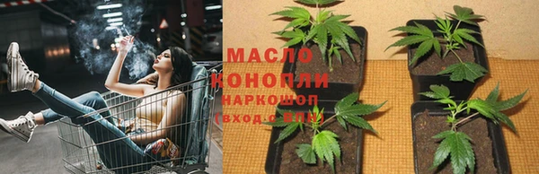 гашик Россошь