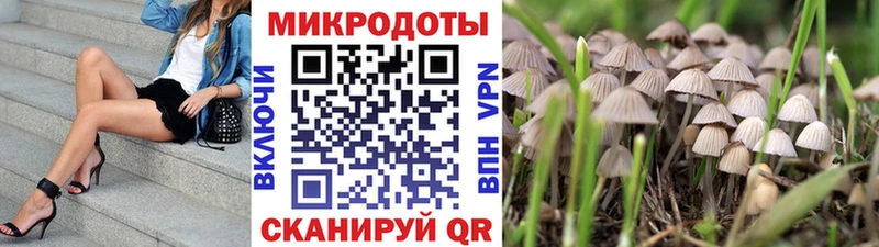 Псилоцибиновые грибы ЛСД  цены   Кингисепп 